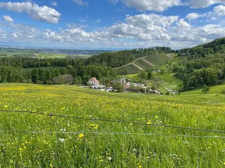 Burgruine Münchsberg