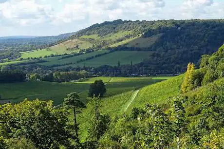 Boxhill Viewpoint