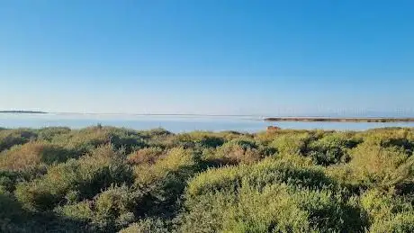 Salins de Mireval