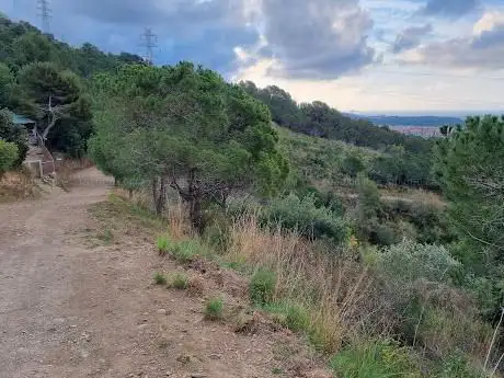 Parc Forestal Can Trius