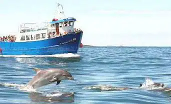 Billy Shiel's Farne Island Boat Trips