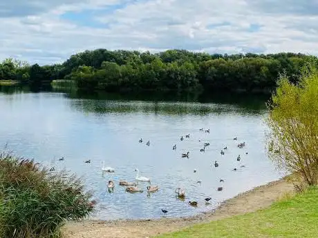 Bedfont Lake