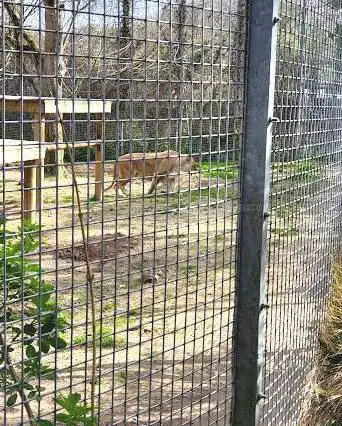 Newquay Zoo