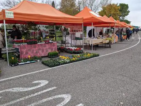 Mercato Contadino di San Benedetto di Lugana (Peschiera)