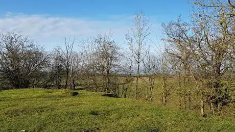 Little Houghton Motte