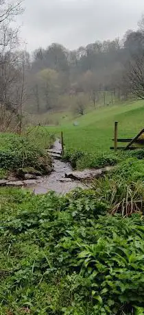 Toadsmoor Woods