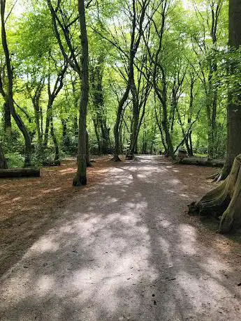 Highgate Wood