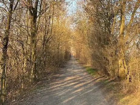 I Sieponi da Bagnolo a Correggio