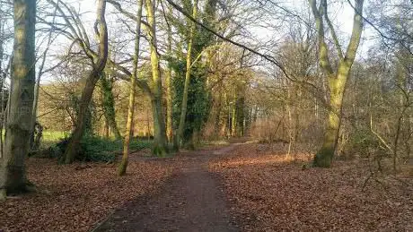 Wildlife Trust BCN - Northamptonshire Office