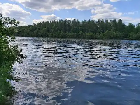 Bord de Seine