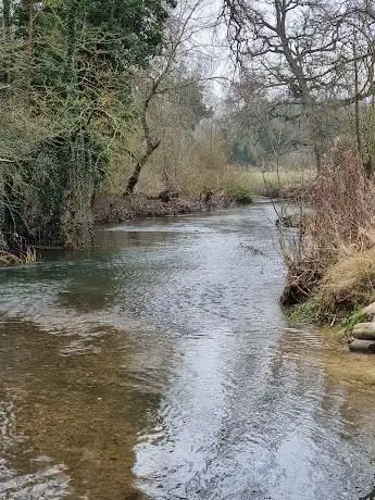 Bowthorpe Marsh