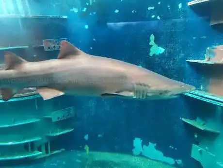 Grand Aquarium de Saint-Malo