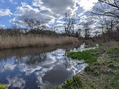 Mabey Meadows