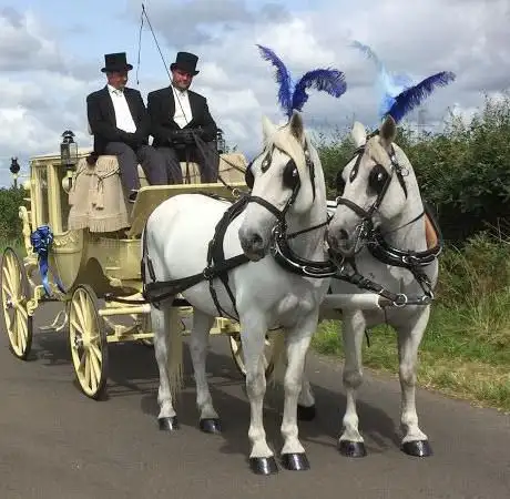 Birmingham & Staffordshire Carriages