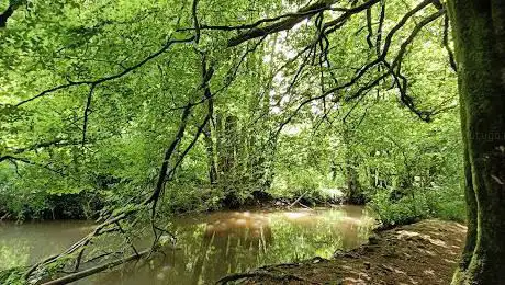 Mells river walk