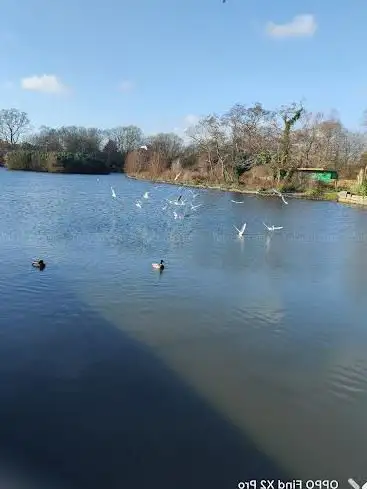 Poole Park