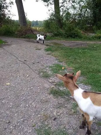 Parc des Courtes Martin