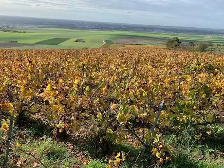 Viewpoint over Troyes