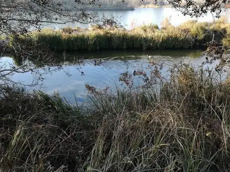 Lockwood Reservoir