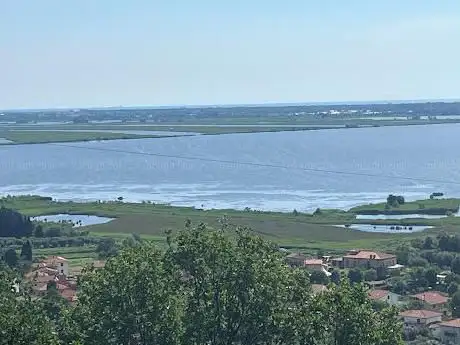 Punto panoramico Lago di Massaciuccoli