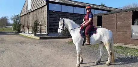 Battle Barn Farm Equestrian