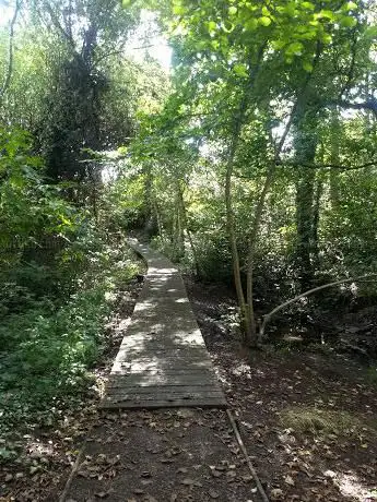 Mill Wood Nature Reserve