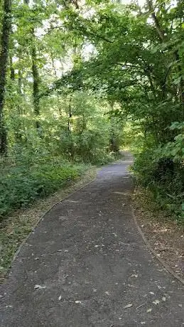 Daneshill Park Woods