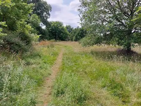 Alners Gorse Butterfly Reserve