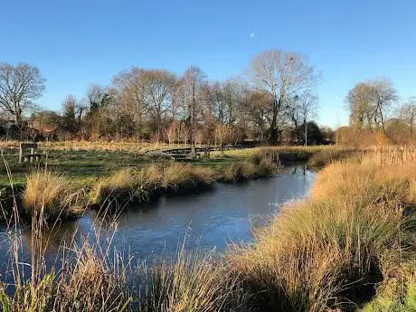 Ashtead Rye Meadows Wetlands