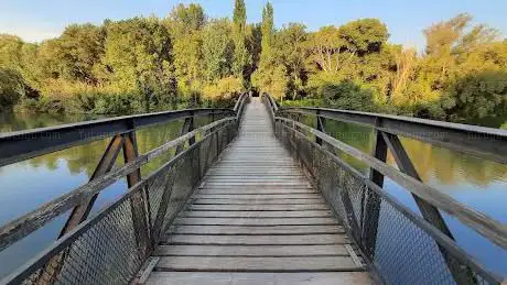 Pont de Ferro (La Mitjana)