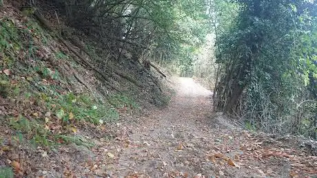 Strada Comunale di Casalborgone (Piazzo - Civignola)