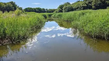 Dawlish Warren