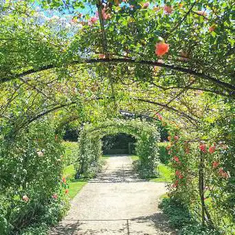 International Rose Garden Courtrai