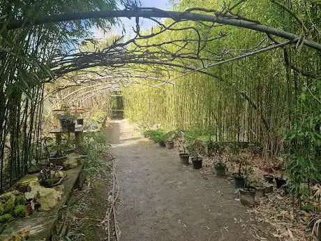 Tropicarium Bonsaï La Baule