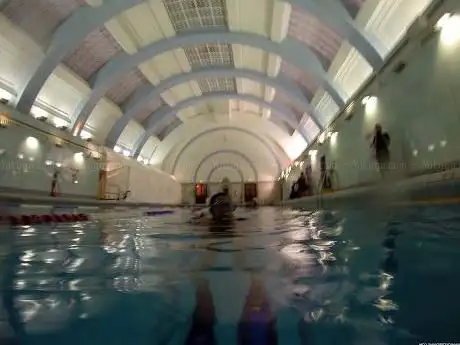 Oyster Diving School London