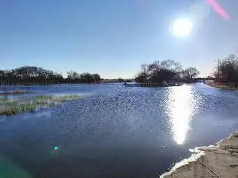 Lac de Grand Lieu - Passay port d'hiver