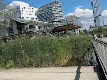 Skatepark A L'interieur Du Parc Martin Luther King