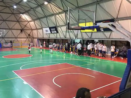 Basket Casapulla