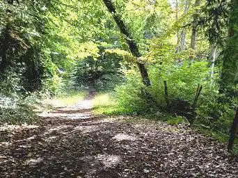 Chemin du Paradis