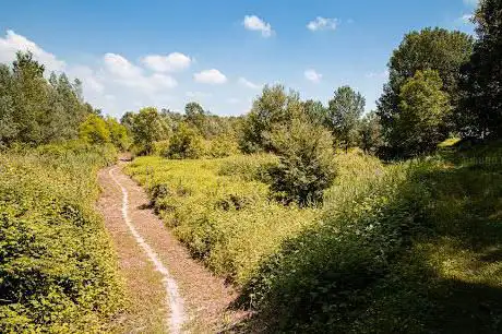 Bosco delle Lame