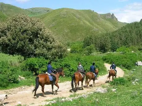 Sikani Horse Trek - Sicily