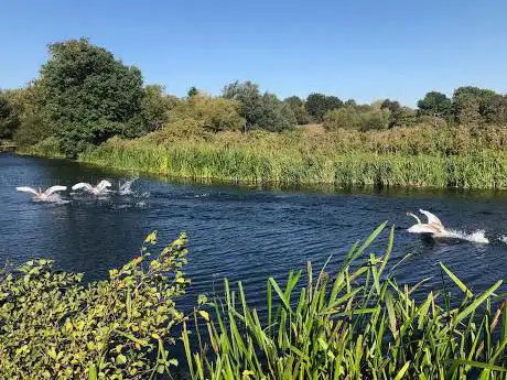 RSPB Flatford Wildlife Garden