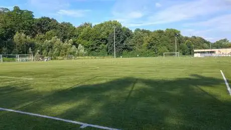 Le Stade du RLHSC