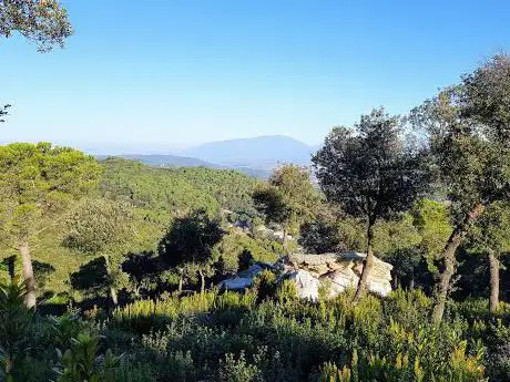 Font de Sant Bartomeu de Cabanyes