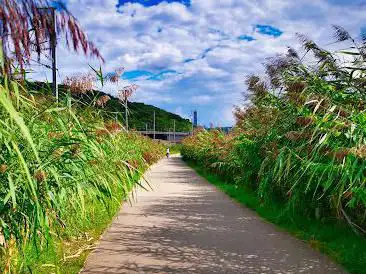 Alzette Radweg Lorentzweiler