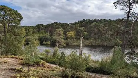 Lake Hide