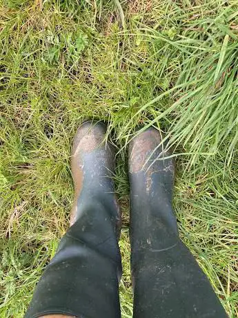 Vijfwegenpoel natuurpunt