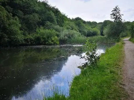 WITHNELL NATURE TRAIL