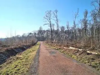 Route forestière du Faite