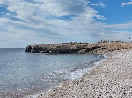 Platja per gossos